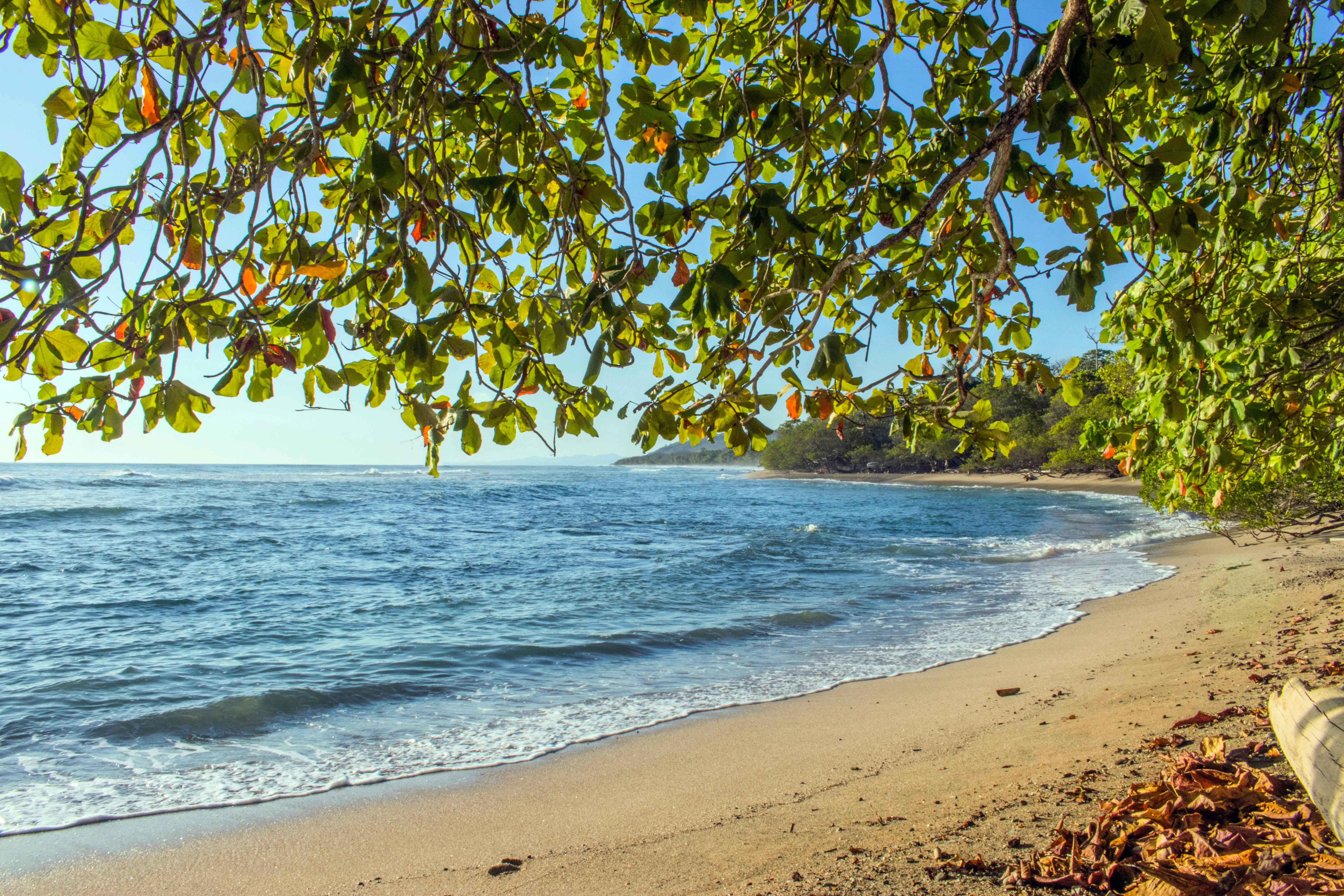 USDT Trading Bot Costa Rica